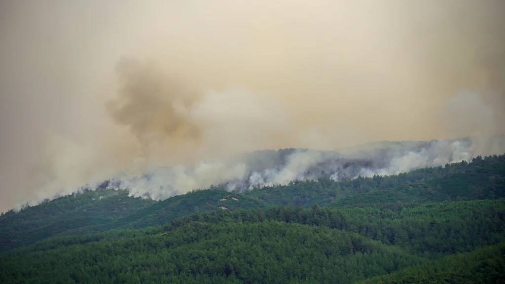 Pożary lasów w Turcji.