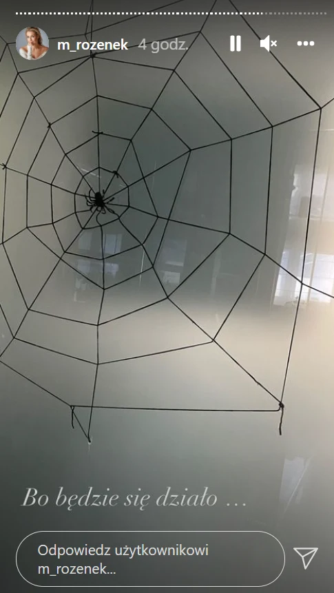 Screen z : https://www.instagram.com/m_rozenek/?hl=pl Screen z : https://www.instagram.com/m_rozenek/?hl=pl