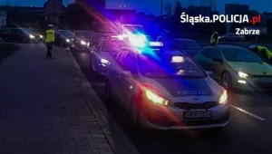 Policja udaremniła nielegalne wyścigi; ponad 300 skontrolowanych pojazdów, fot.: Śląska Policja 