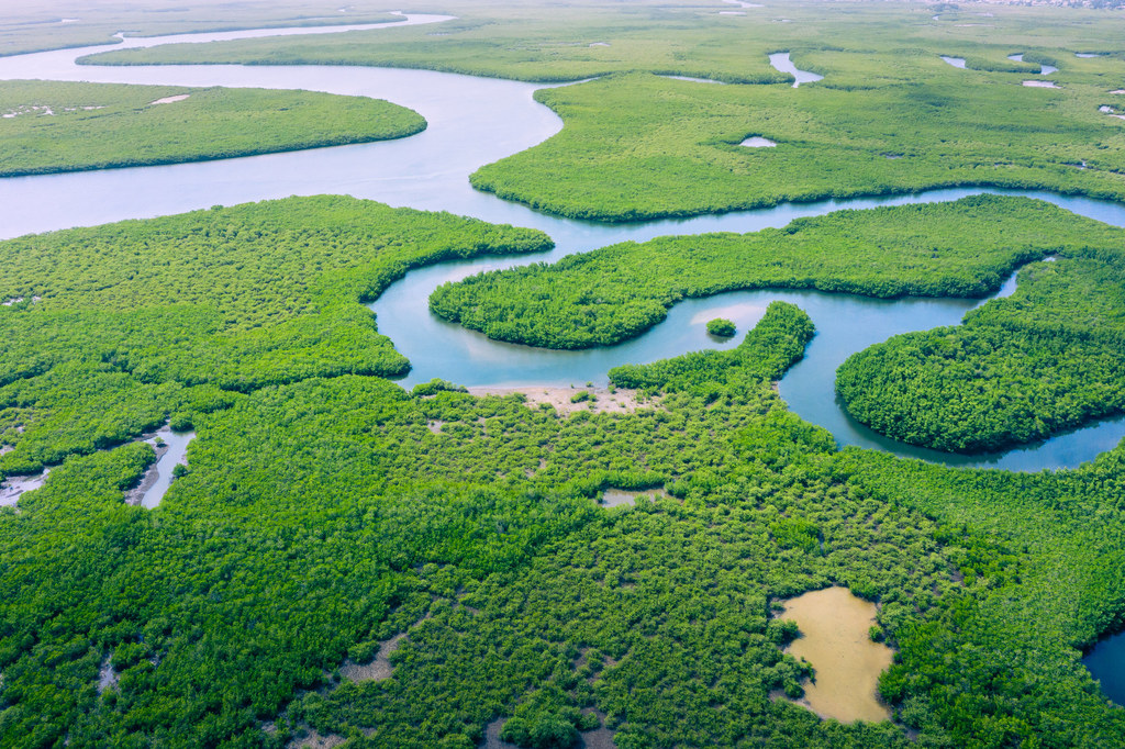 Amazonia jest zagrożona przez nielegalne kopalnie złota