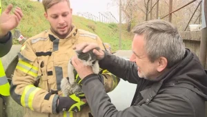 Strażacy uratowali kota, który utknął w rurze ciepłowniczej