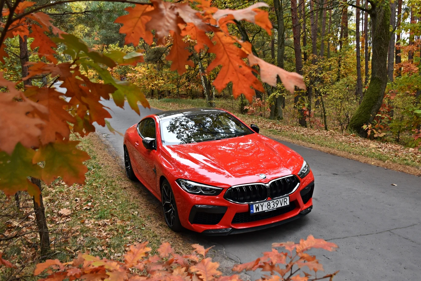 BMW M8 competition. Zdjęcia 