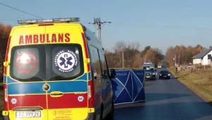 Potrącenie rowerzysty w Budach Głogowskich