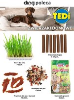 Zwierzaki pokochają TEDi