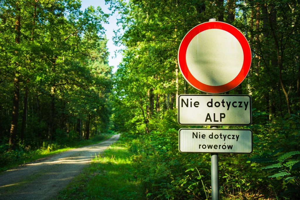 Znaki zakazu ustalają organizację ruchu na drodze poprzez ograniczenie poruszania się pojazdów albo zabronienie wykonania określonych manewrów.