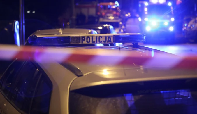 ​W Nowej Hucie słychać szczury...