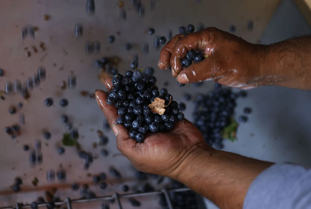 To nie był dobry rok dla winaiarzy To nie był dobry rok dla winaiarzy