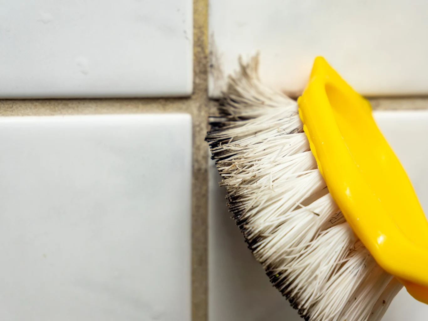 Domowe mikstury pomogą pozbyć się pleśni z fug i ze ścian Domowe mikstury pomogą pozbyć się pleśni z fug i ze ścian