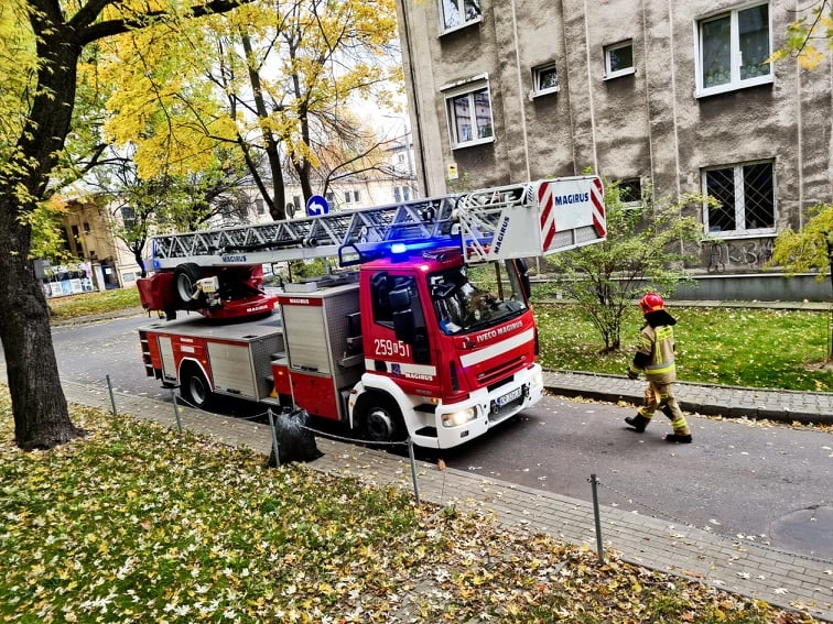 Lista najdziwniejszych pojazdów w Polsce prezentuje się całkiem imponująco