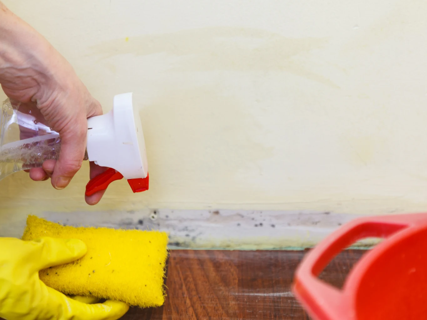 Ocet może okazać się skutecznym sposobem na grzyby i pleśń Ocet może okazać się skutecznym sposobem na grzyby i pleśń