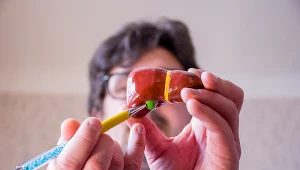 Rolą pęcherzyka żółciowego, zwanego też woreczkiem, jest magazynowanie żółci wydzielanej przez wątrobę