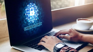 Ransomware to atak skuteczny i bardzo dotkliwy. Aż 7 na 10 ofiar straciło co najmniej część danych po ataku 