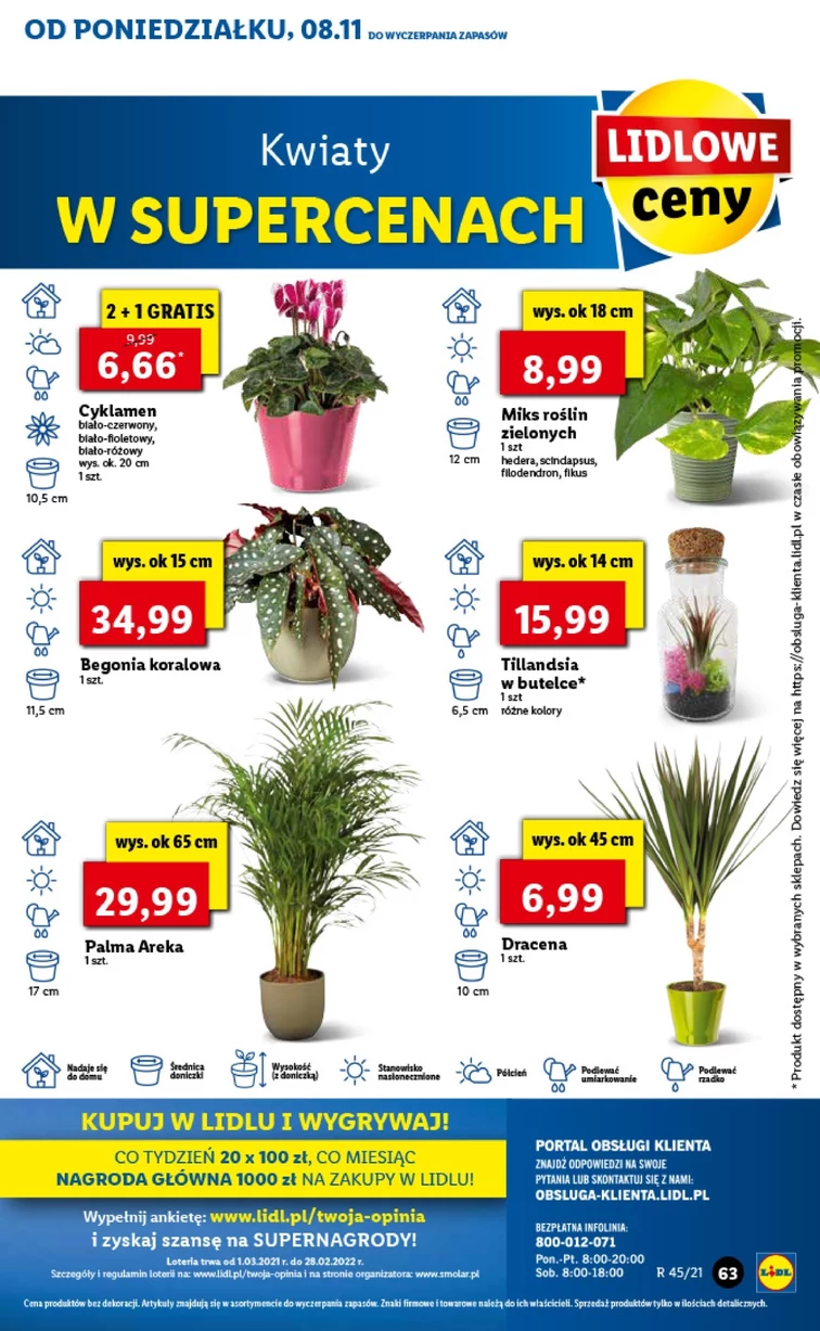 leaflet page preview image