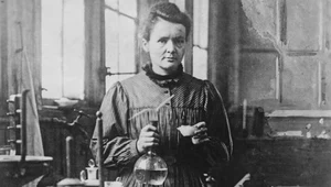 110 lat temu odebrała drugiego Nobla. Zapiski Marii Skłodowskiej-Curie nadal są radioaktywne 	