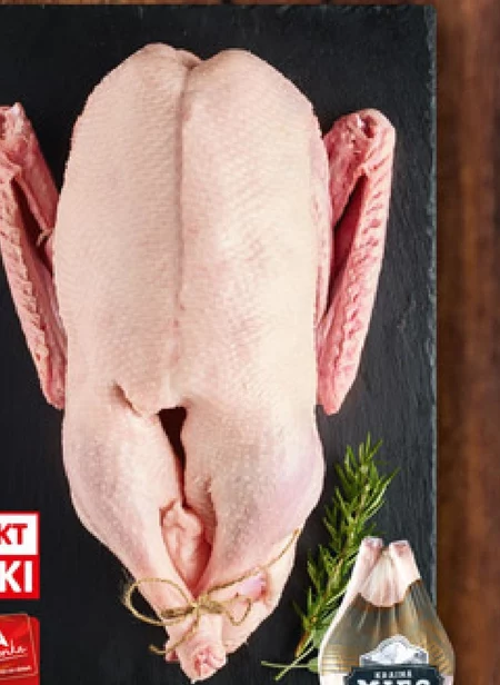 Gęś