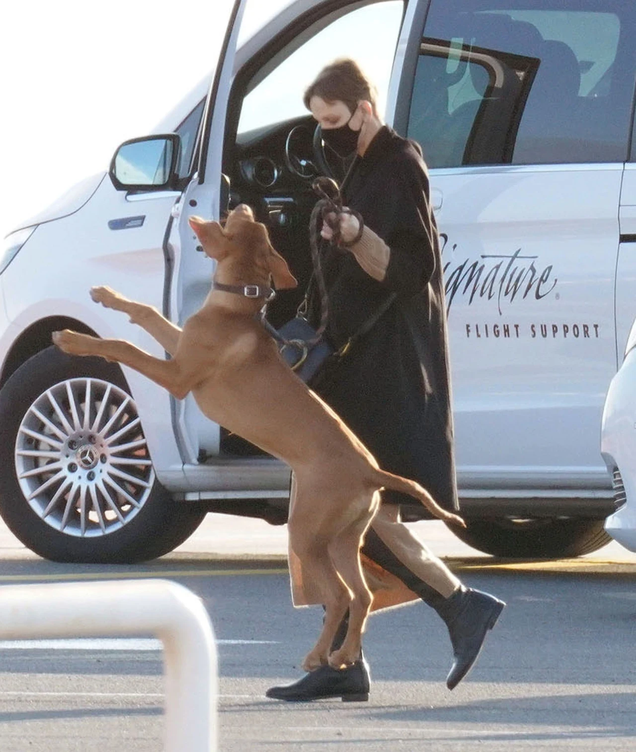 Księżna Charlene Księżna Charlene