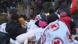 Rodzina uchodźców z Iraku od kilkunastu dni ukrywała się w Puszczy Białowieskiej w okolicy Narewki na Podlasiu