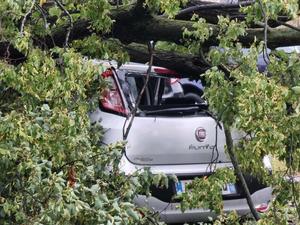 Pogoda nie rozpieszcza kierowców. Takiej liczby szkód z autocasco nie było w Polsce od dawna!