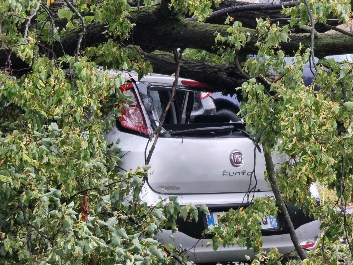 Pogoda nie rozpieszcza kierowców. Takiej liczby szkód z autocasco nie było w Polsce od dawna! Pogoda nie rozpieszcza kierowców. Takiej liczby szkód z autocasco nie było w Polsce od dawna!