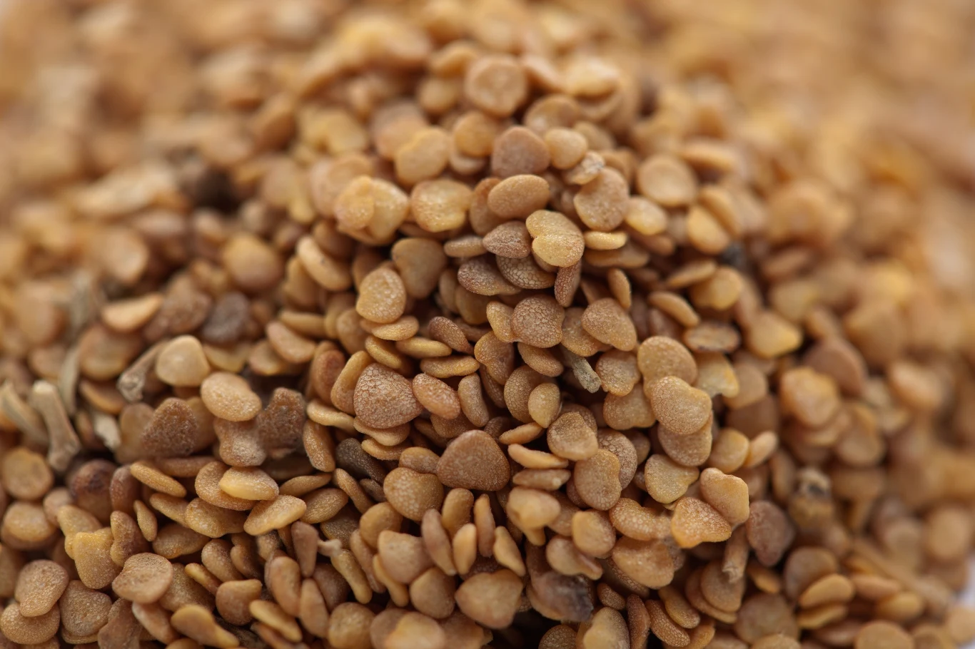 Sięgając po preparaty z ashwagandhą, nie można zapominać o zaleceniach dotyczących dawkowania, które znajdziemy w ulotce