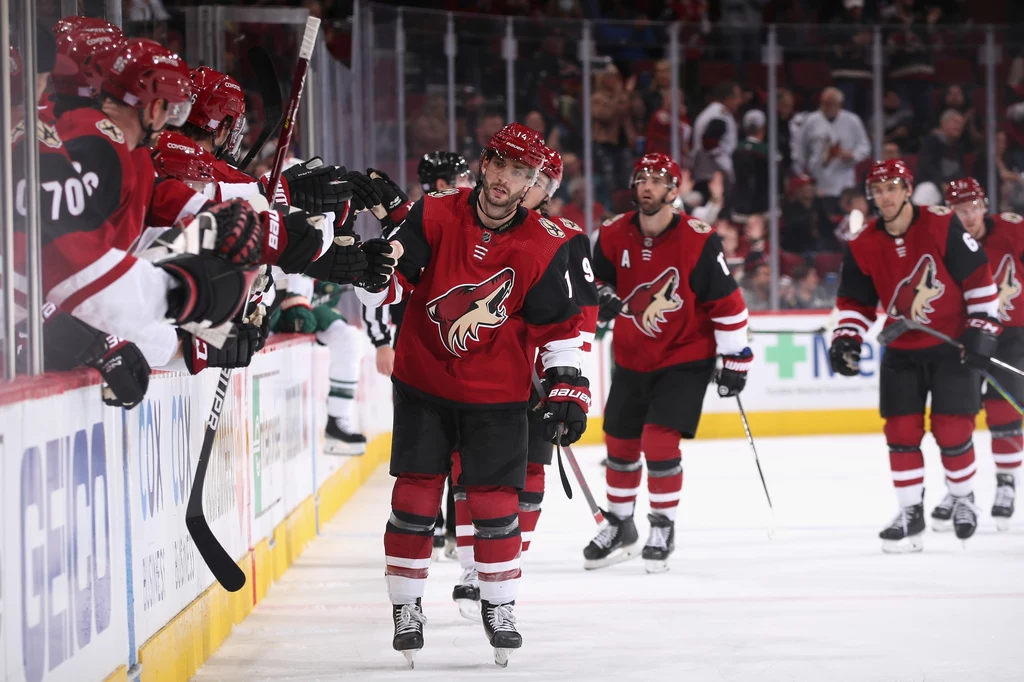 Hokeiści Arizona Coyotes zdobyli w ostatnim spotkaniu dwie bramki, ale po raz kolejny nie byli w stanie zwyciężyć przeciwnika
