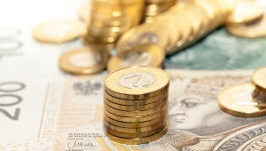 Polska waluta straciła wobec dolara, euro i franka szwajcarskiego