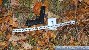 Wiatrówka, z której oddano strzały