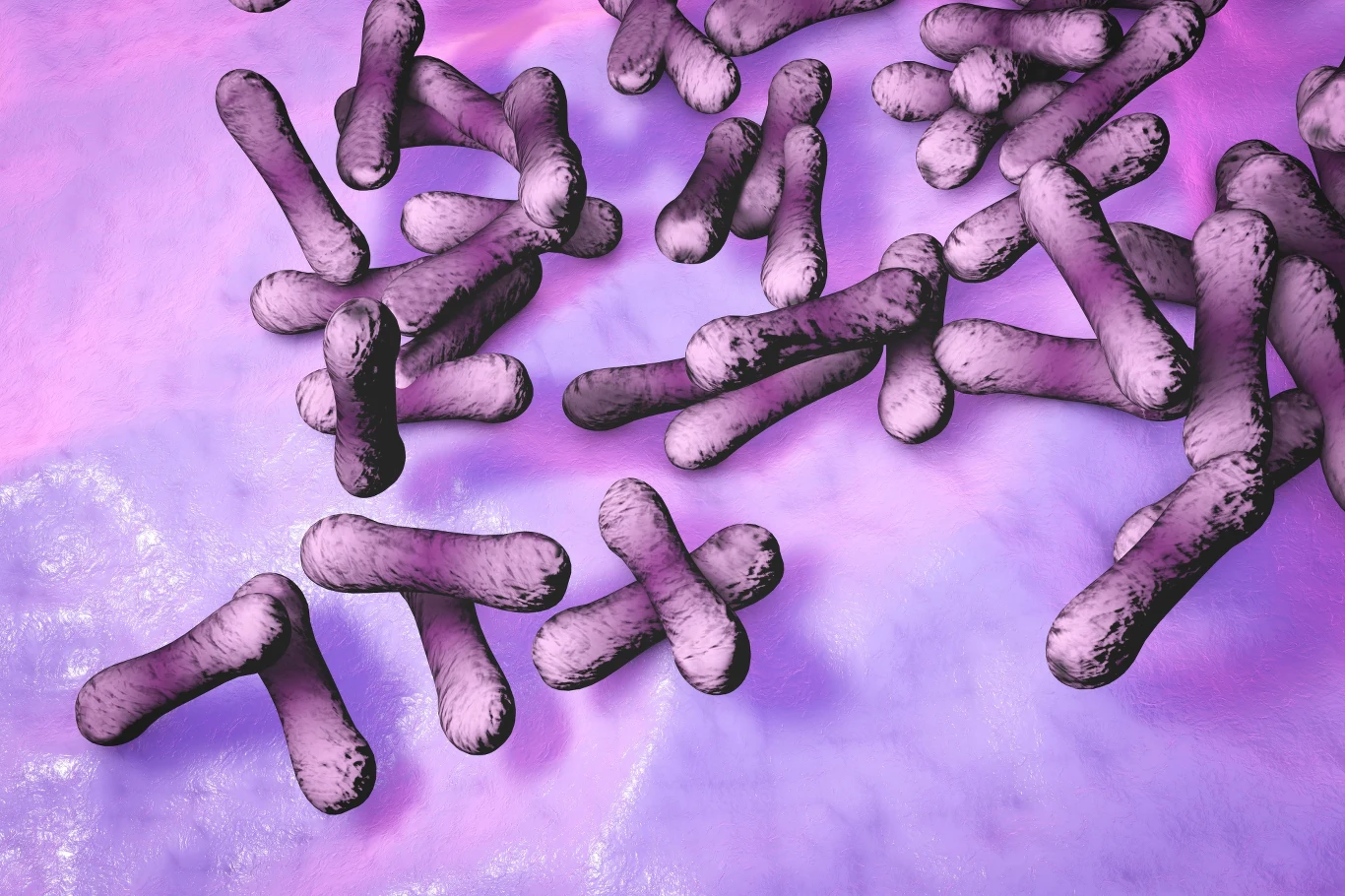 Błonicę wywołuje bakteria moczugowca błonicy