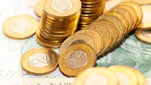 Złoty tracił w czwartek wieczorem do głównych walut