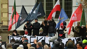 Manifestacja Młodzieży Wszechpolskiej w Gdańsku