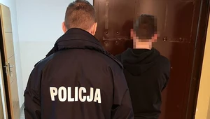 Zatrzymanym grozi do 5 lat pozbawienia wolności 