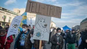 Niemcy: Protest aktywistów przeciwko zamykaniu elektrowni jądrowych