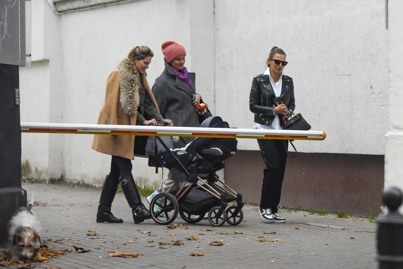 Lewandowska, Zborowska i Ślotała, czyli sławne mamy na zakupach