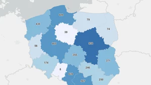 Dzienna liczba szczepień w województwach - dane z 15 listopada