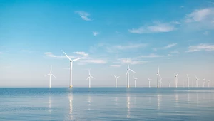 Polska realizuje inwestycje w elektrownie wiatrowe
