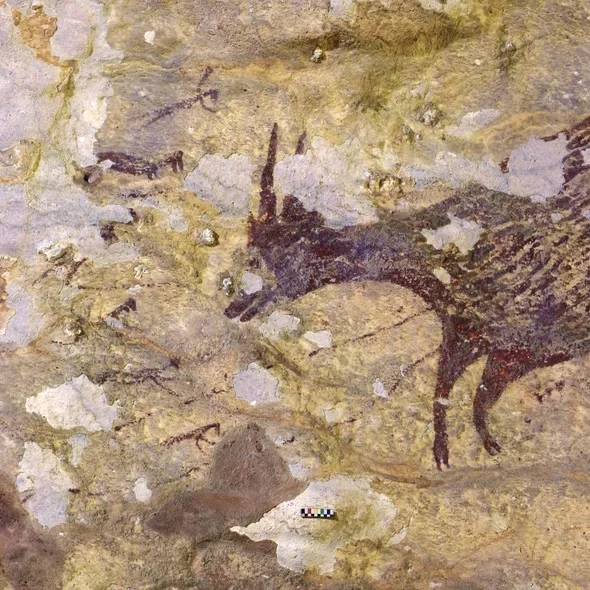 Uszkodzenia wynikające ze zmian klimatu można także zauważyć na najstarszych znanych malowidłach naskalnych na wyspie Celebes (Sulawesi). Malowidła mogą mieć nawet 45 tys. lat 