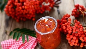 Owoce jarzębiny nadają się do spożycia po wcześniejszym przemrożeniu. Można z nich zrobić dżemy lub nalewki