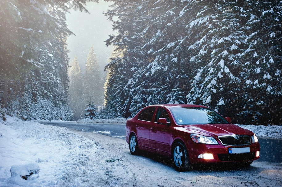 Akcesoria samochodowe na zimę kupisz teraz w Biedronce!