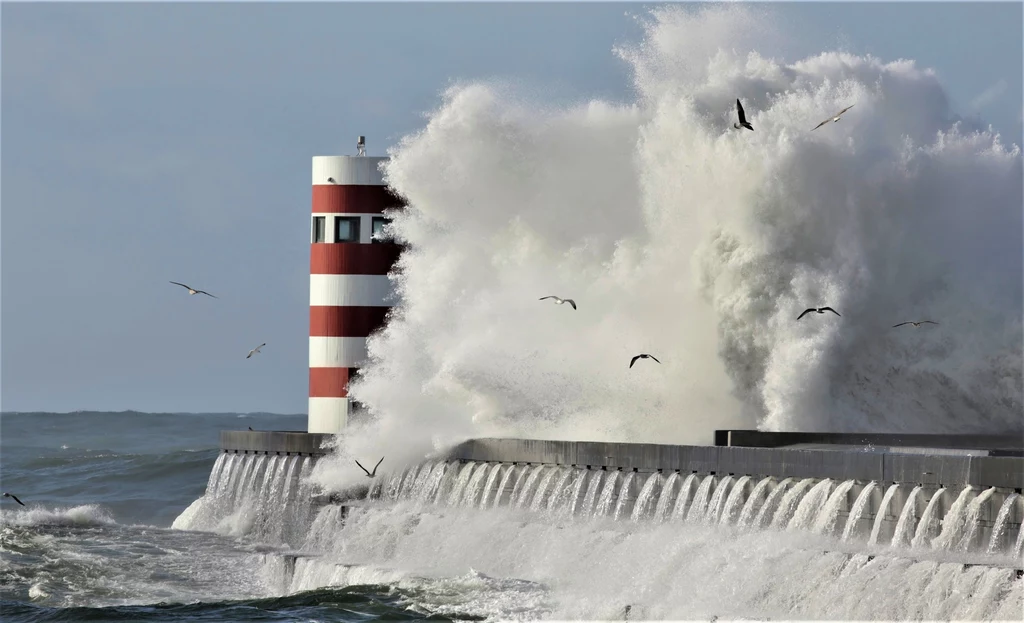 Czy na polskim wybrzeżu Bałtyku mogło dojść do uderzenia fal tsunami?