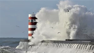 Tsunami na Bałtyku. Ślady znajdowały się kilometr od brzegu