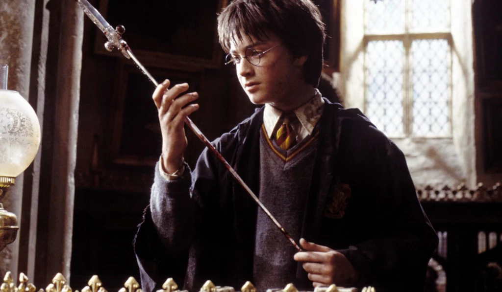 "Harry Potter" do dziś jest jedną z najchętniej oglądanych serii filmów 