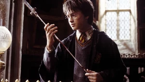 "Harry Potter" kiedyś i dziś. Jak zmienili się znani bohaterowie filmu? 