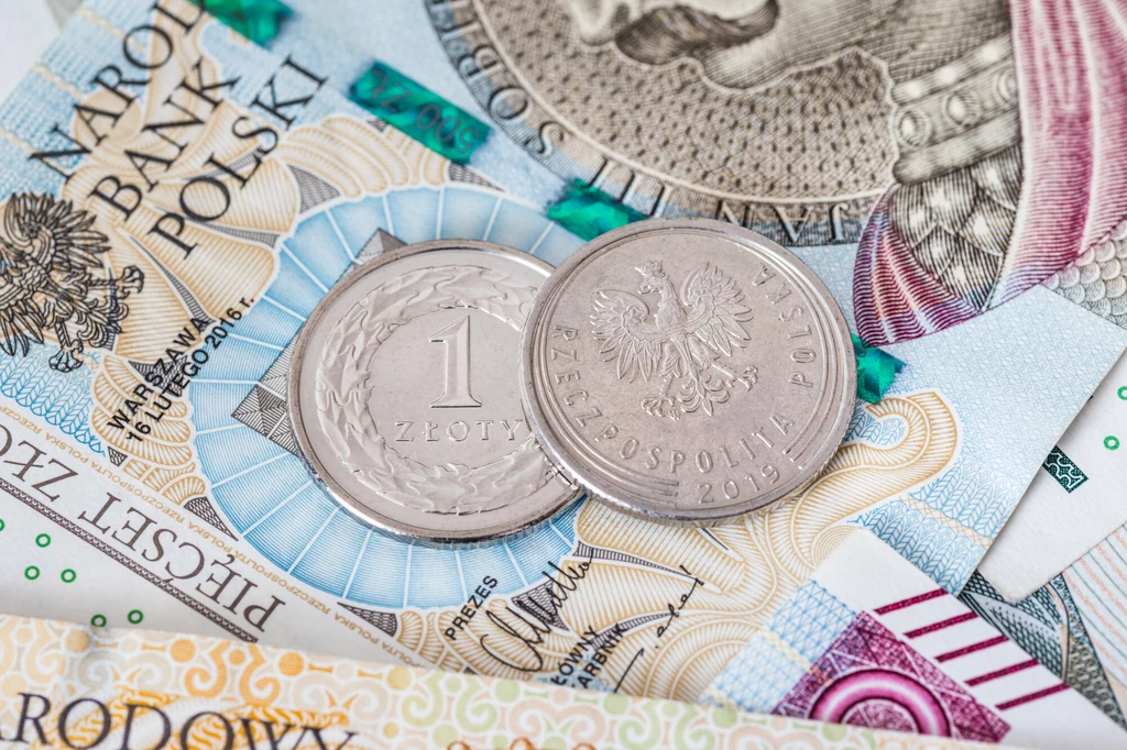 Polskie monety mają ukryte oznaczenie