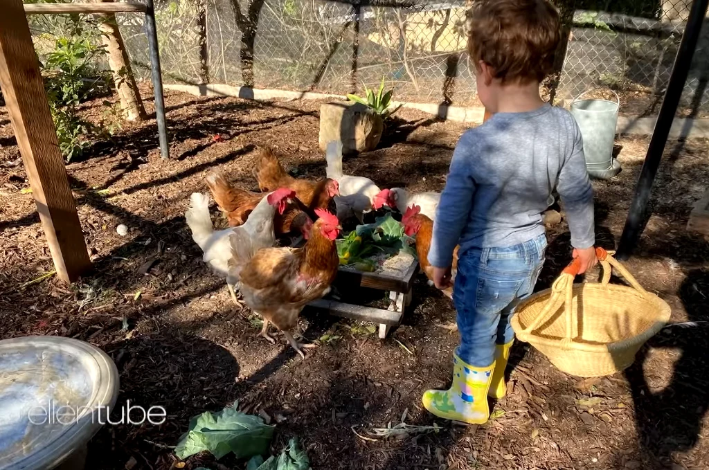 Screen z: https://www.youtube.com/watch?v=oTSWs552UQM&t=3s