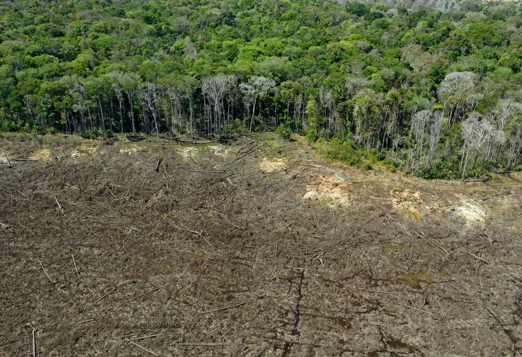 Wylesienie Amazonii.