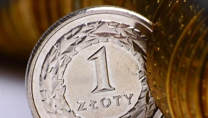 Wszyscy odczujemy skutki osłabienia złotego. Zdj. ilustracyjne