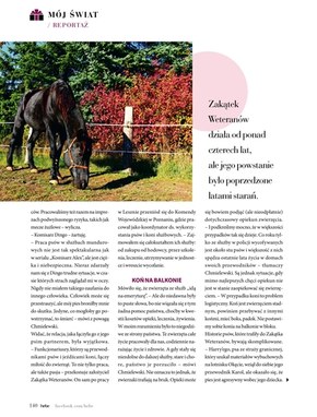Tyle piękna na święta w Hebe