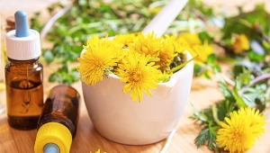 Które zioła naprawdę mają właściwości lecznicze?