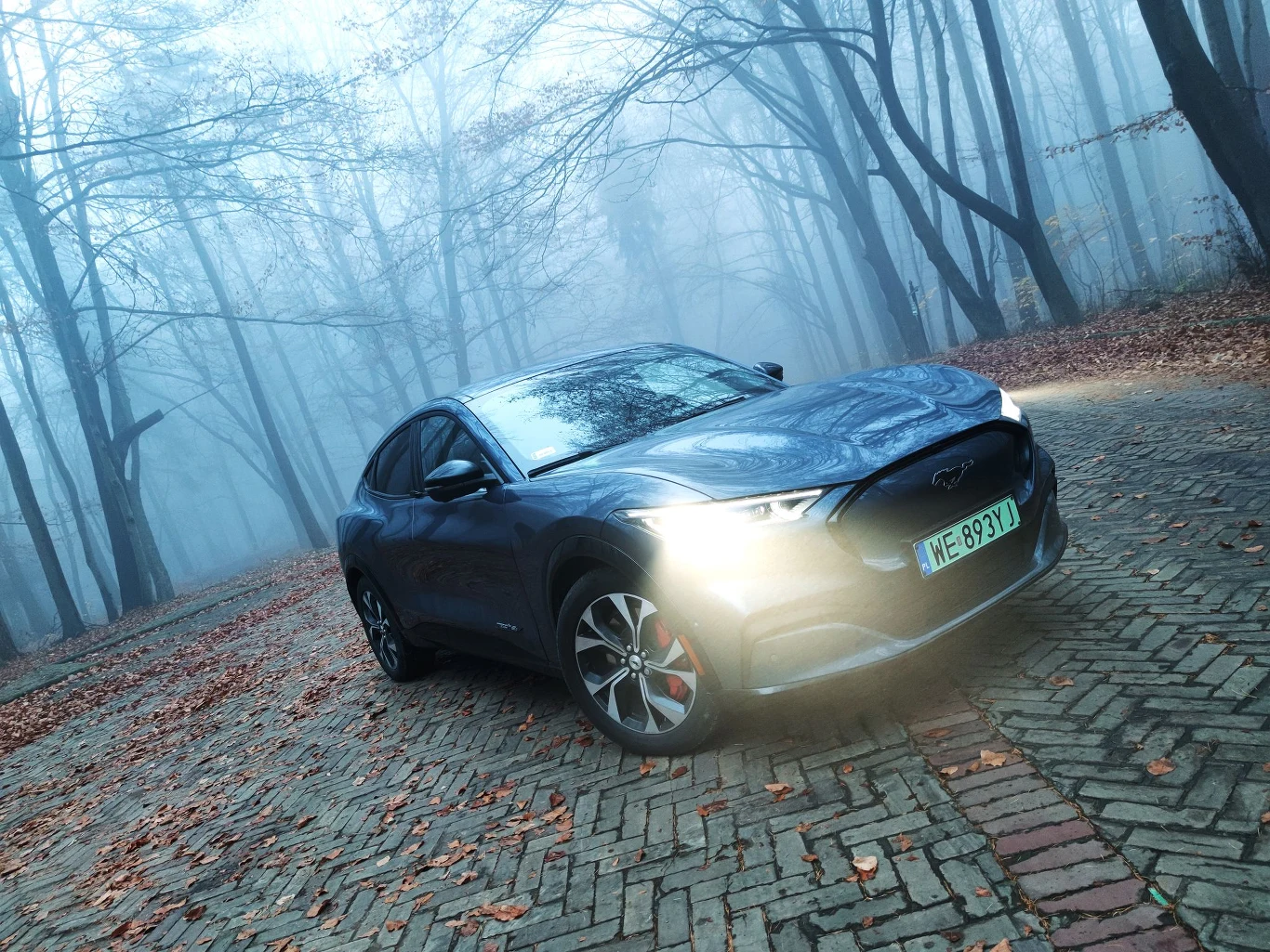 Ford Mustang Mach-E AWD. Zdjęcia Ford Mustang Mach-E AWD. Zdjęcia