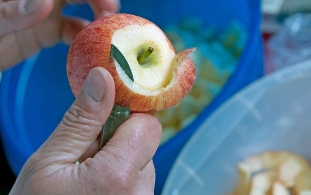 Skórki oraz gniazda nasienne jabłka nadają się do zrobienia domowego odświeżacza powietrza